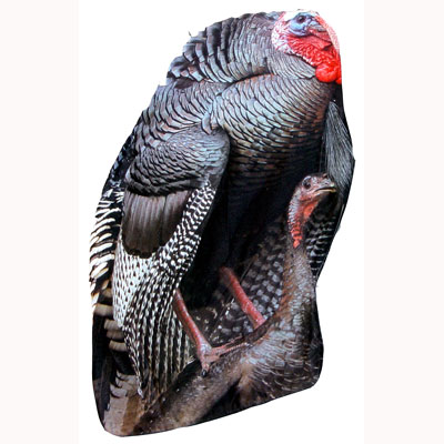 Montana Decoy Mating Turkey