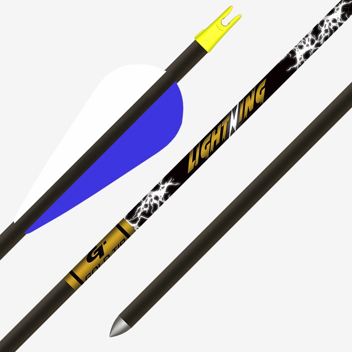 Gold Tip Lightning Youth Arrows With Vanes (1 Dz)