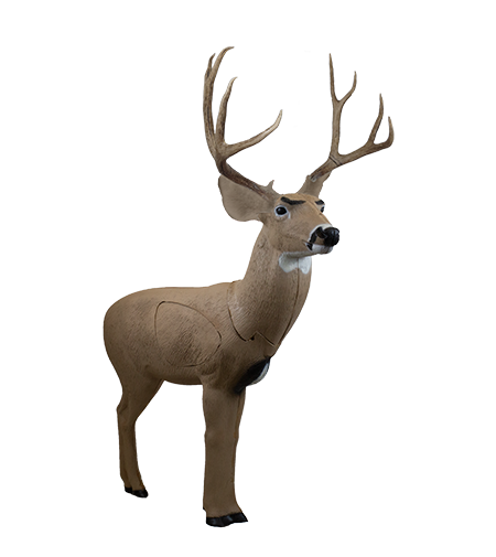 Rinehart Woodland Mule Deer